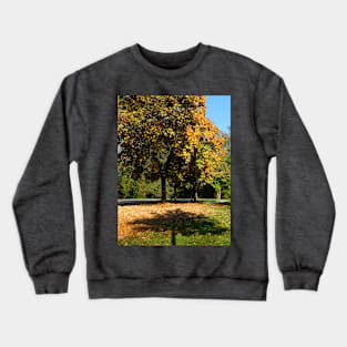 Autumn by the Dietlhofer See in Weilheim, Germany Crewneck Sweatshirt